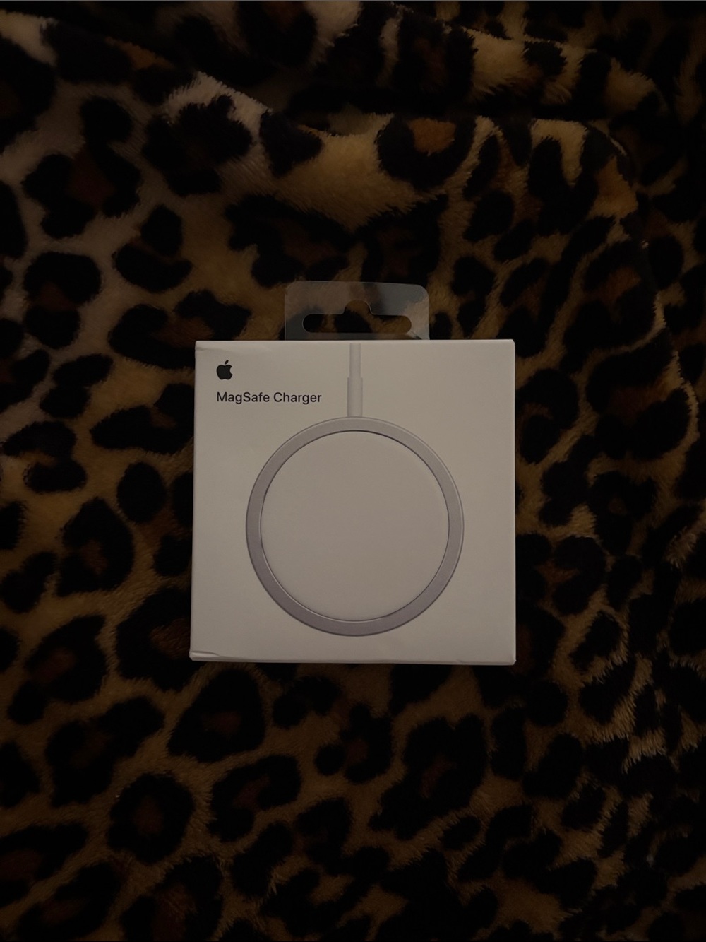 Apple MagSafe Charger - White and Silver Accents